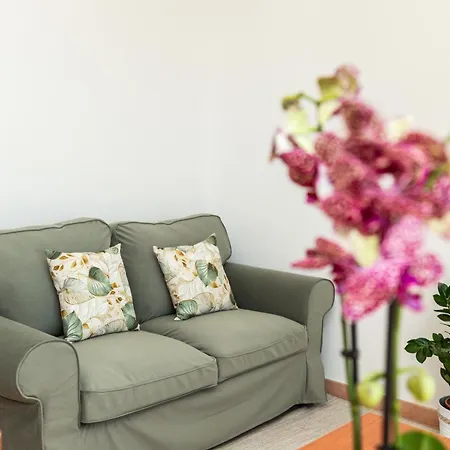 Bynos Sea View Lejlighed *